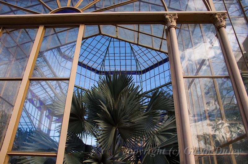 Glasshouse, Adelaide Botanic Gardens IMGP8804.jpg